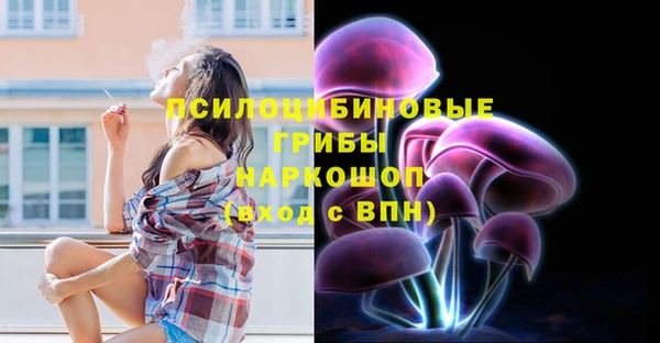 ешки Аркадак
