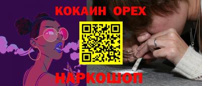 прущие грибы Шахты