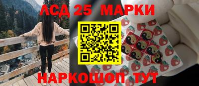 прущие грибы Шахты