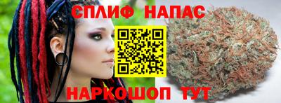 прущие грибы Шахты