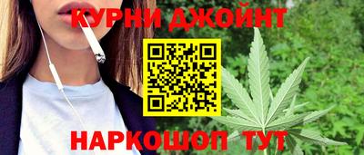 прущие грибы Шахты