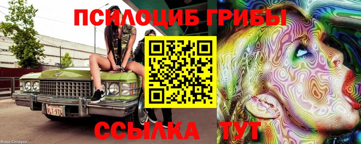 Галлюциногенные грибы Cubensis Мытищи